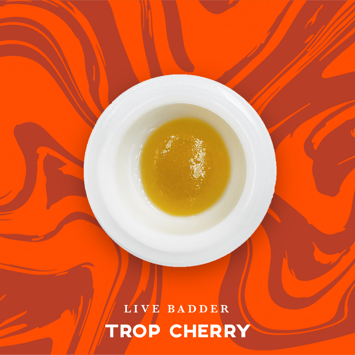 Photograph of product: Vivid: Rosin Concentrate | Fruit Gusherz | au chocolat | 1g