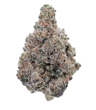 Photograph of product: GMO | AMP | - 28g