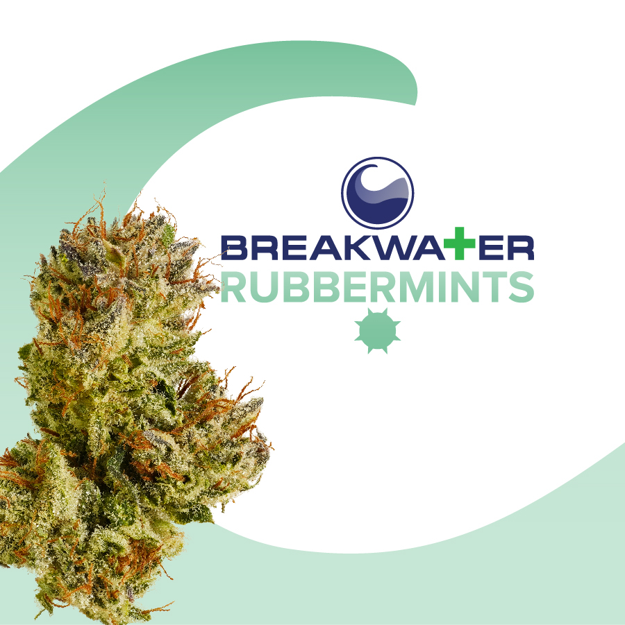 Photograph of product: Rubbermints - 7g