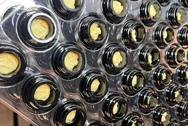 Photograph of product: Malek's Melts | Mixed Micron Live Rosin | QuenepaZ