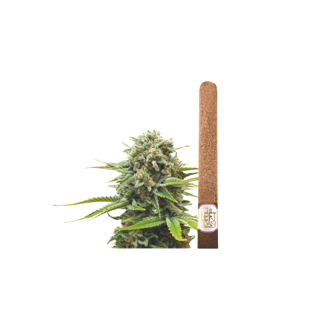 Photograph of product: Lil Leftys - Monster Cookies - Premium infused Mini Blunts - 1.3g (5pk) - 6.5g