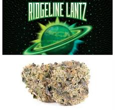 Photograph of product: Cookies | Ridgeline Lantz | 3.5g