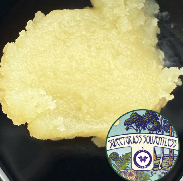 Photograph of product: Papaya Splash - Live Rosin - 1.0g