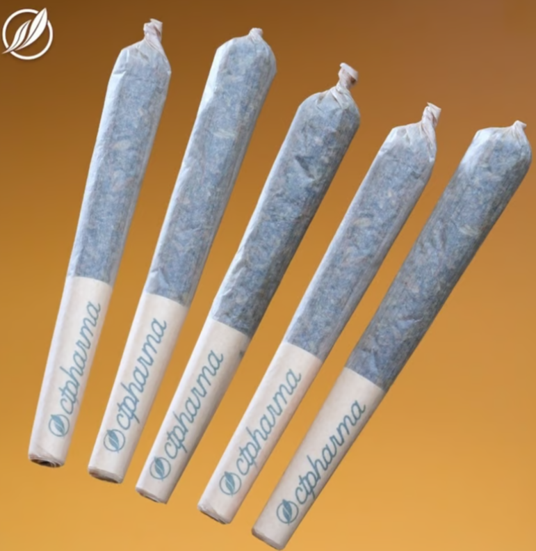 Photograph of product: Yellow Haze OG Shorties S 26110