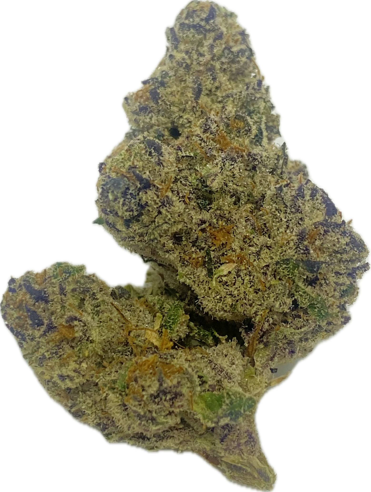 Photograph of product: Twisted Trees Oui'd Co. - Cinnamon Toast Runtz - Bulk Flower - 28g