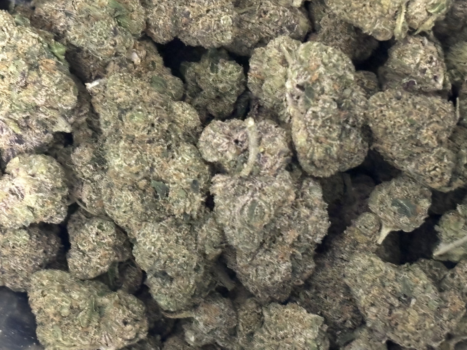 Photograph of product: Miami Runtz 31.22% (Hybrid) (Deli) - 28g