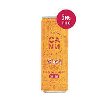 Photograph of product: CANN High Boys 5mg 4pk - Cranberry Sage