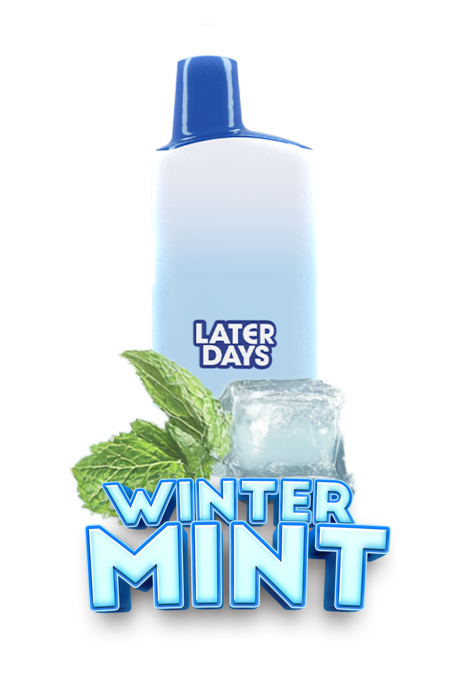 Photograph of product: Later Days | Disposable | Winter Mint