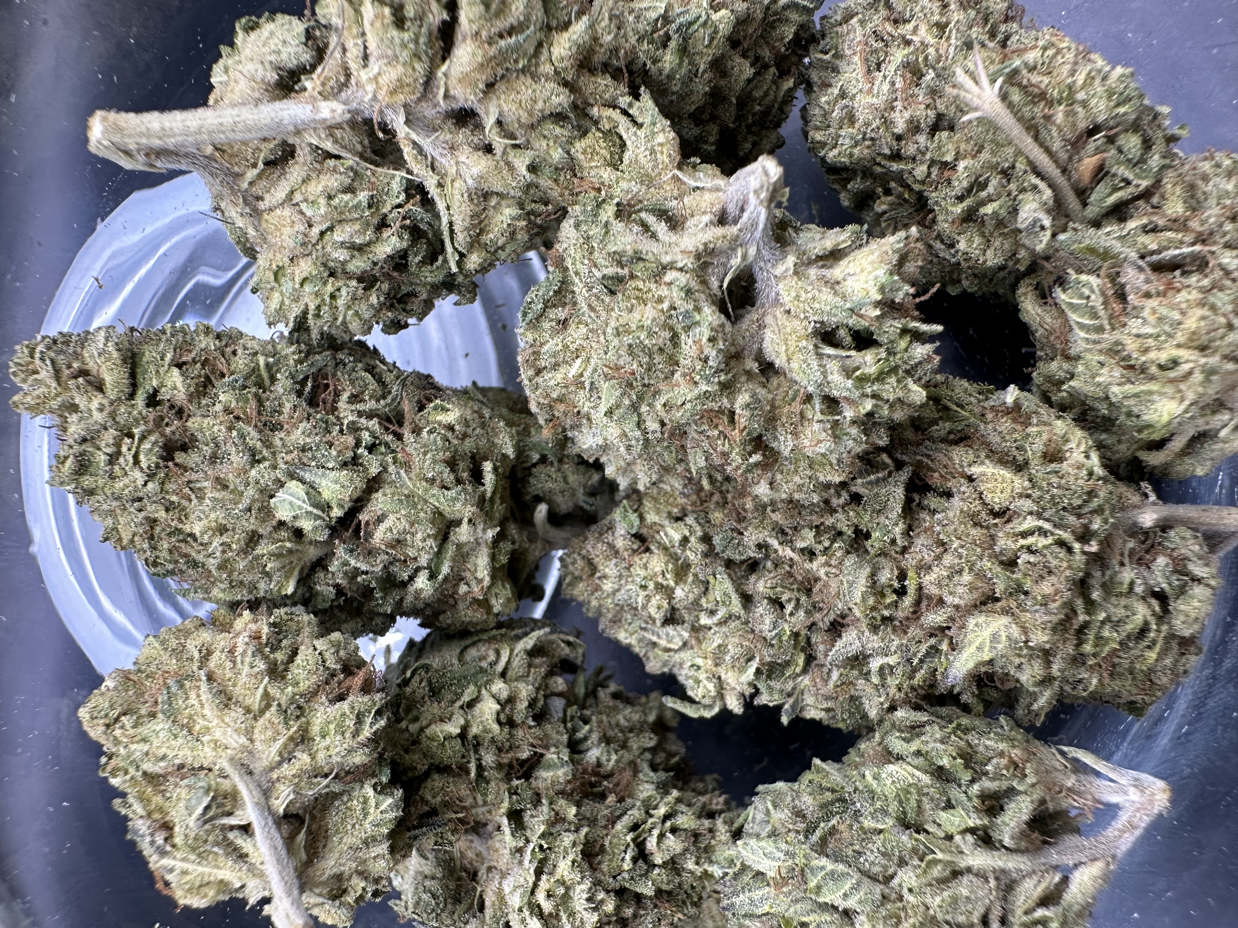 Photograph of product: Black Magic (Alta Gardens) 23.72% - 28g