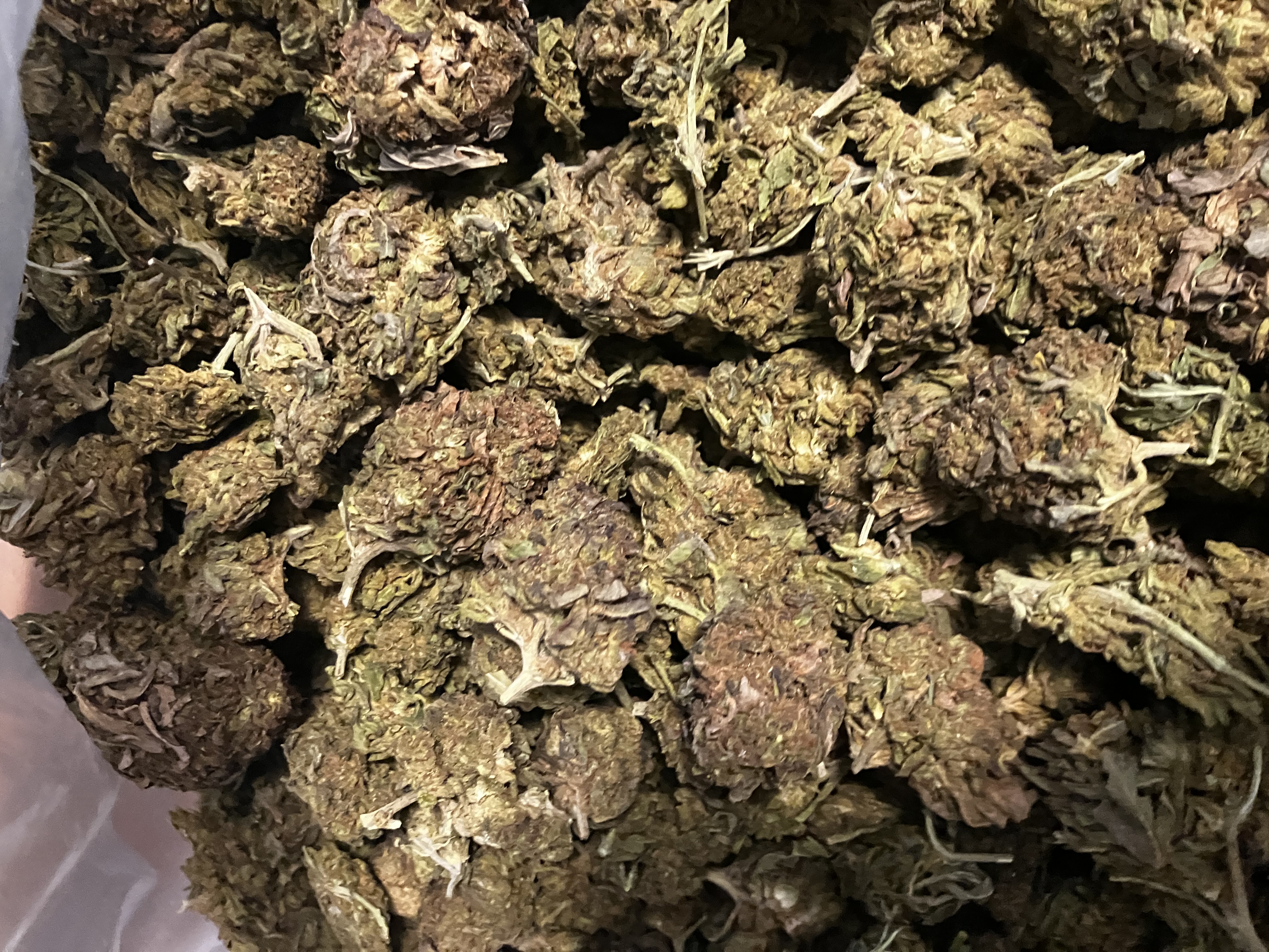 Photograph of product: Rainbow Beltz | 1oz | Pre-Packed | Fresh Canna - 28g