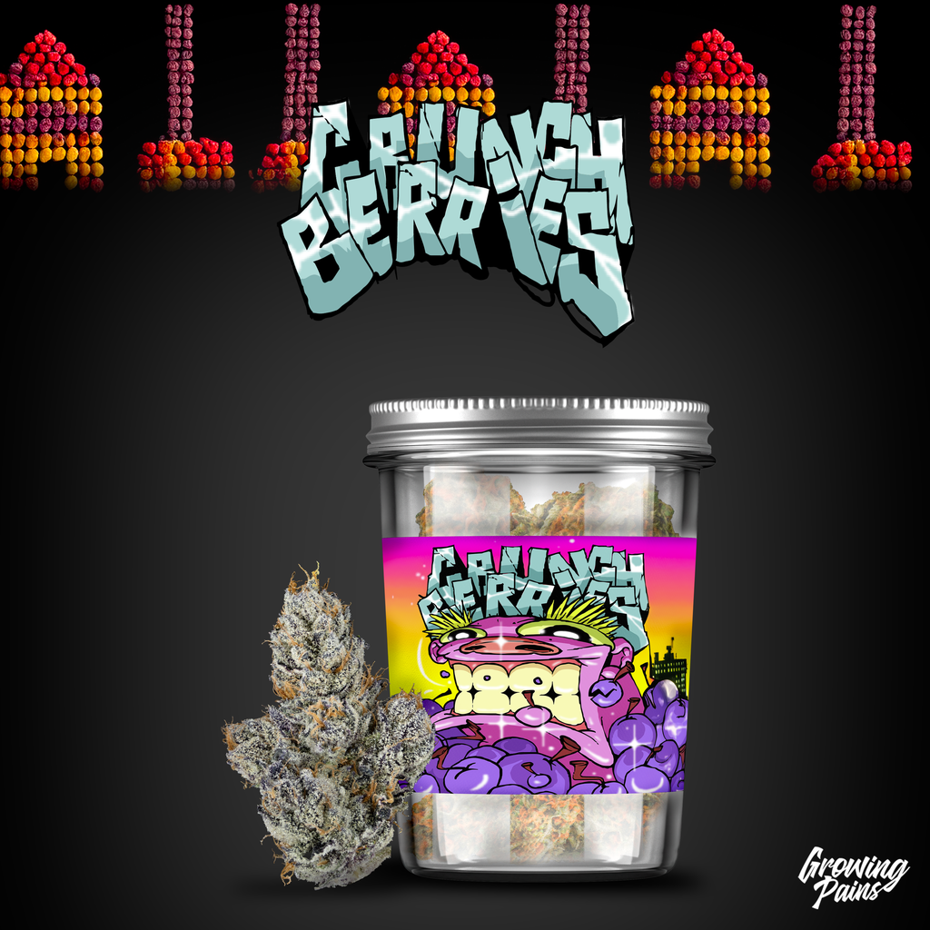 Photograph of product: DELI - GROWING PAINS Crunch Berries - 28g