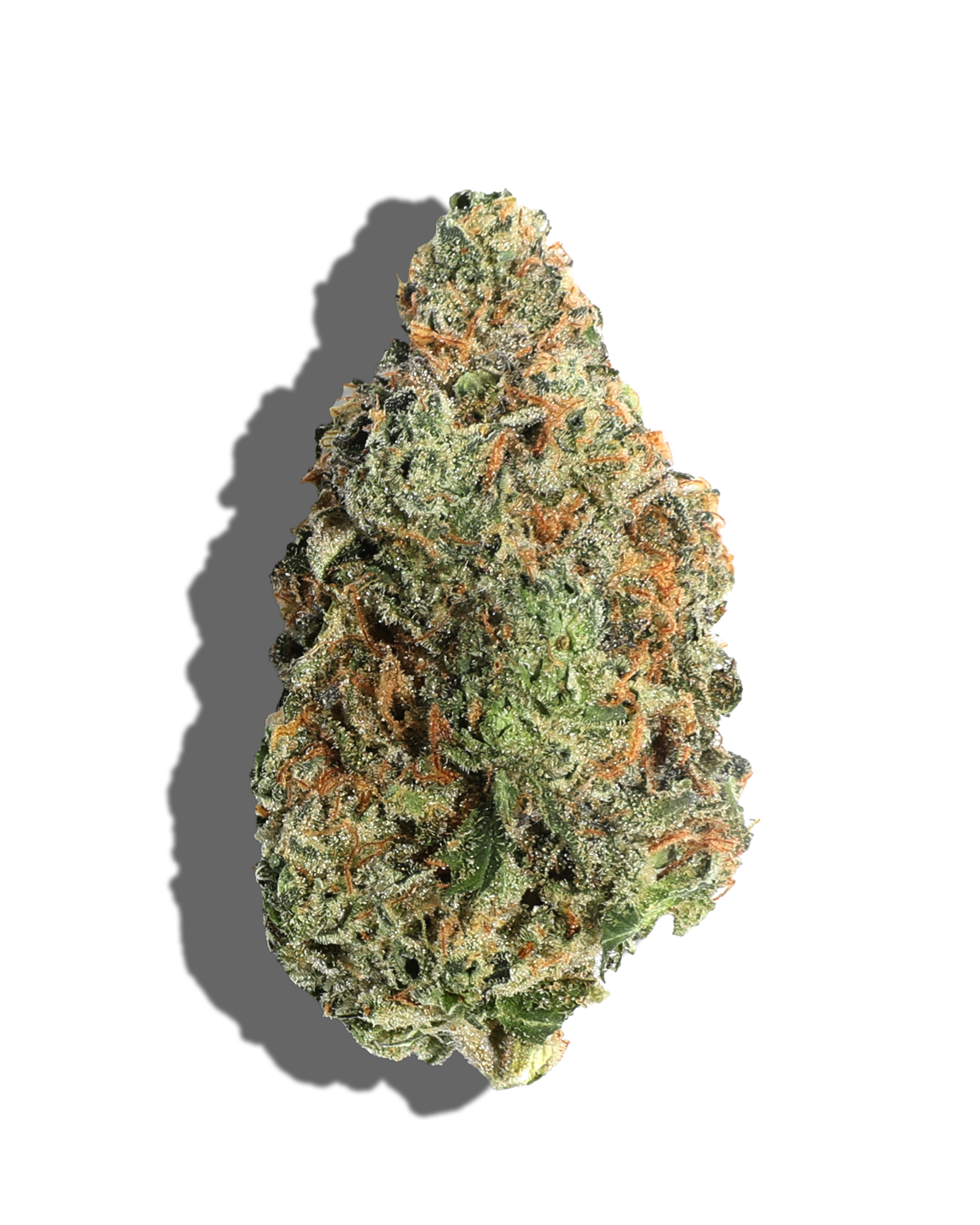Photograph of product: MSG 1OZ - 28g