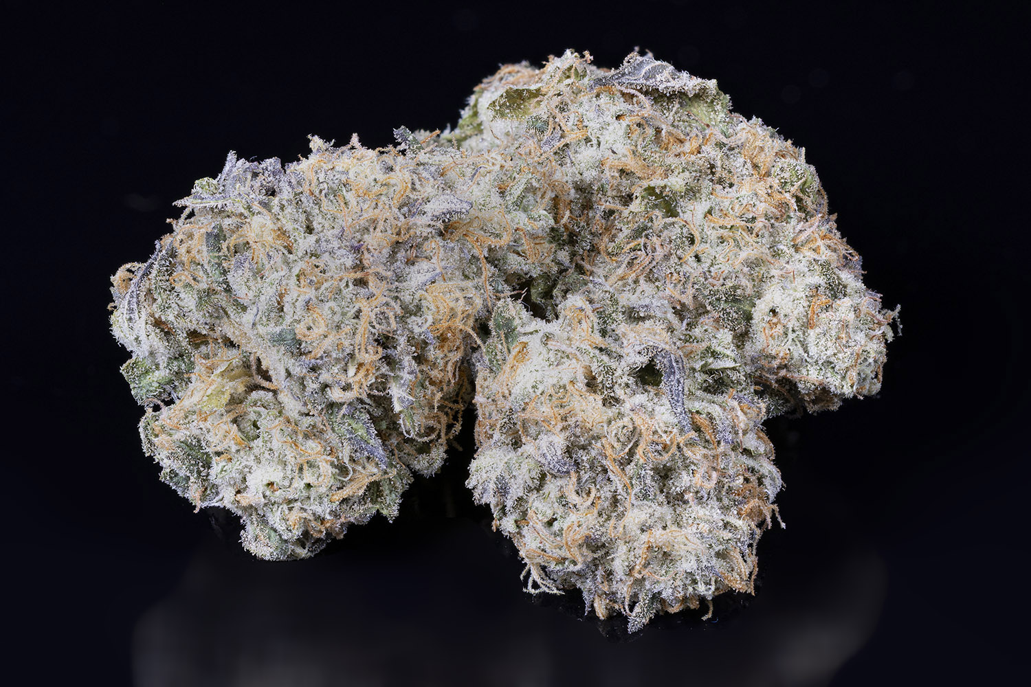 Photograph of product: Mule Fuel - Bulk Flower - 3.5g