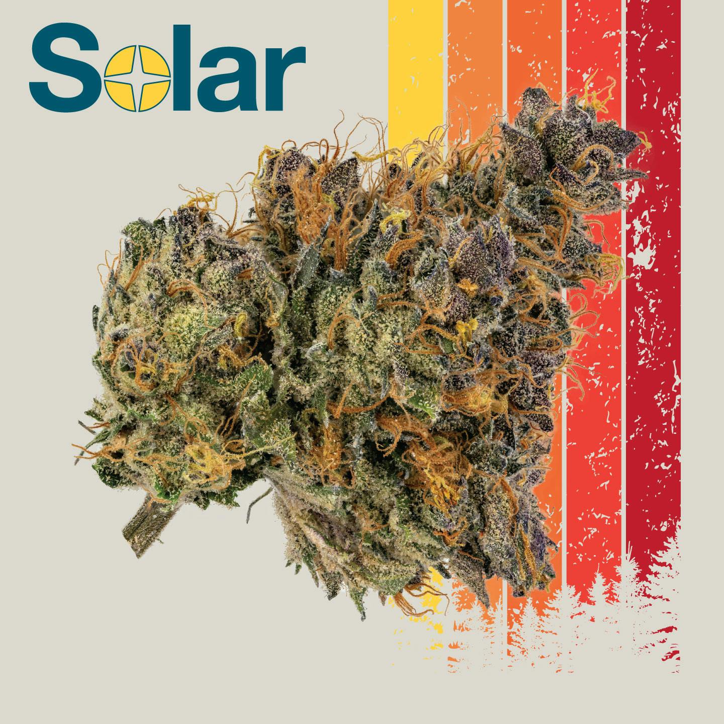 Photograph of product: Solar - G.O.A.T Gouda - Flower - 28g