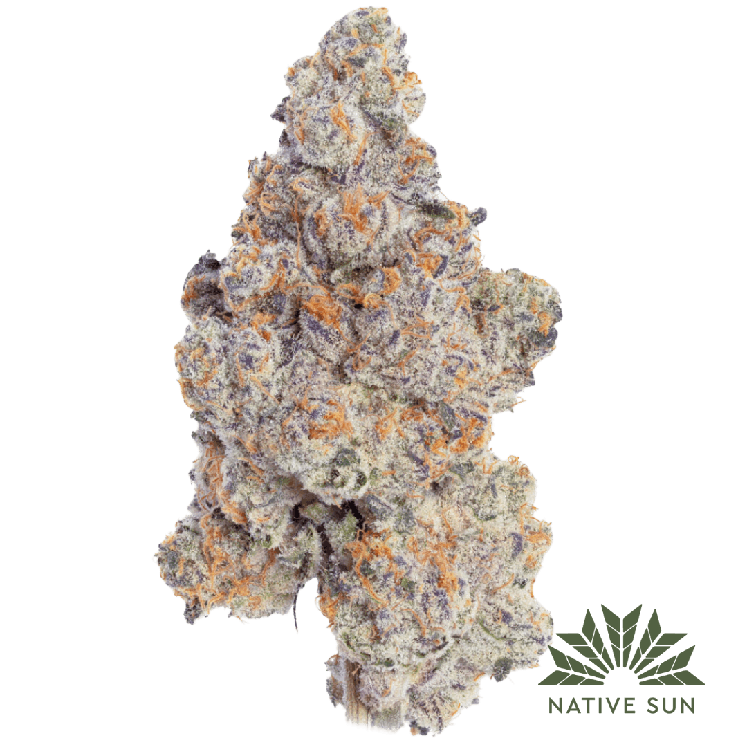 Photograph of product: Native Sun Flower - - Ice Cream Cake - 3.5g