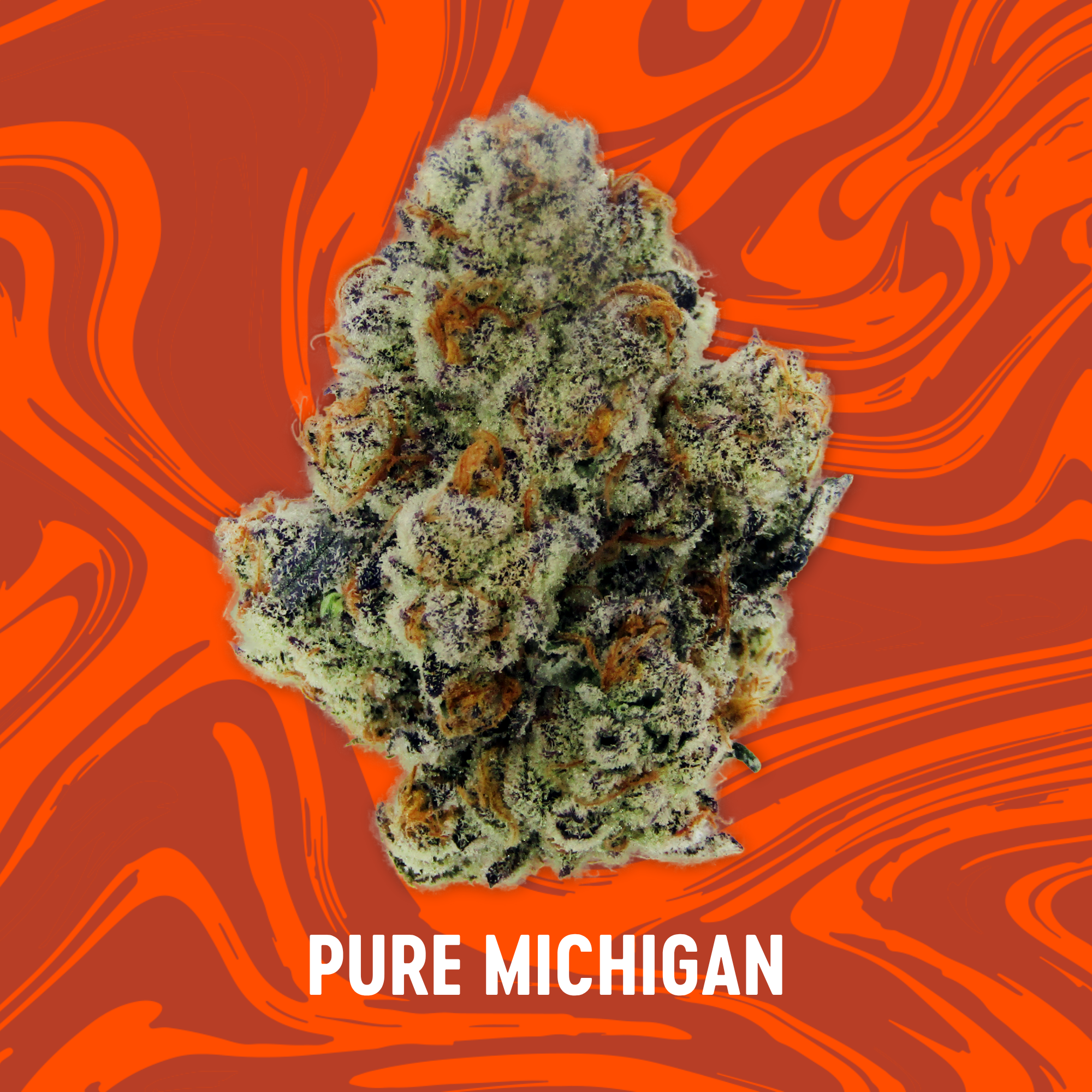 Photograph of product: Vivid - Pure Michigan - Deli Flower - 2g