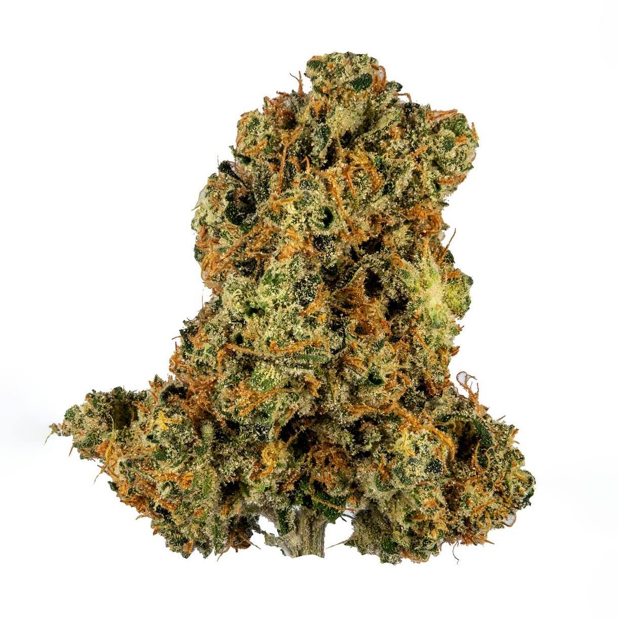 Photograph of product: GLP | Lemon Meringue 3.5g