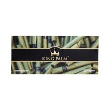 Photograph of product: T-ZONE-KING PALM MAGIC MINT| 2.99