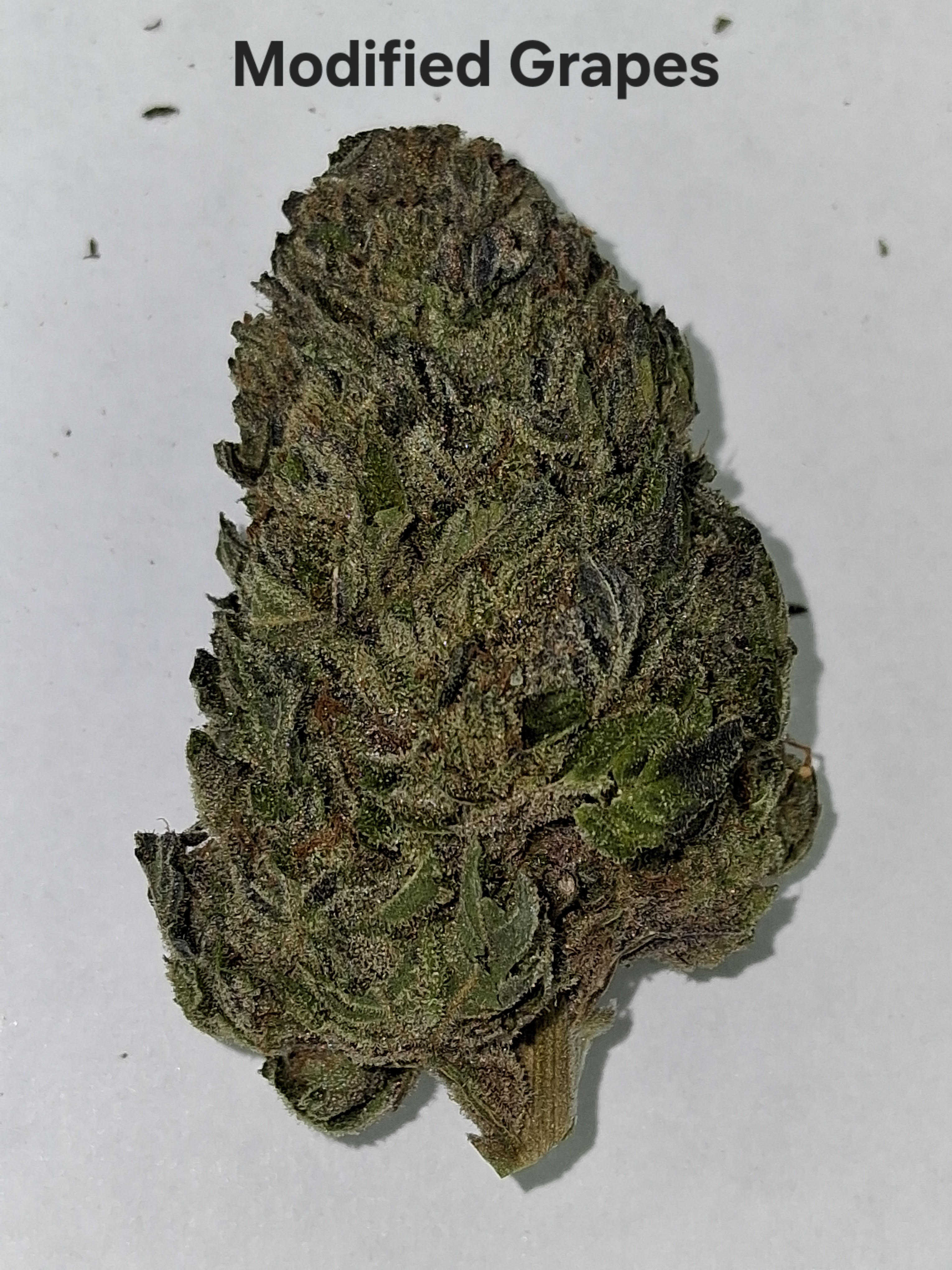 Photograph of product: Modified Grapes 1/oz Flower Pre-Packaged- Greenway Farm - 28g