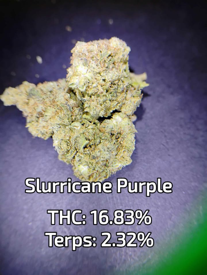 Photograph of Product: Slurricane Purple $ /$100 | MMK Farming LLC - 1g