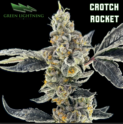 Photograph of product: [REC] Green Lightning | Crotch Rocket | 3.5g Flower