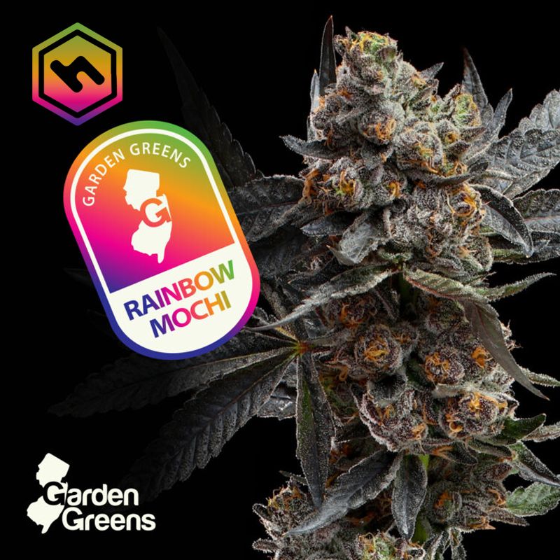 Photograph of product: Rainbow Mochi 3.5g