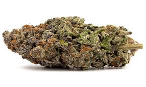 Photograph of product: Natural State Cheetah Piss 3.5g Hybrid Flower