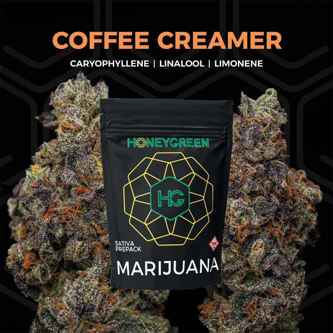 Photograph of product: 3.5g | Coffee Creamer