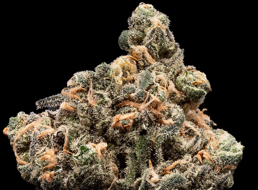 Photograph of product: Blue Dream | 3.5g Flower | The Happy Farmer