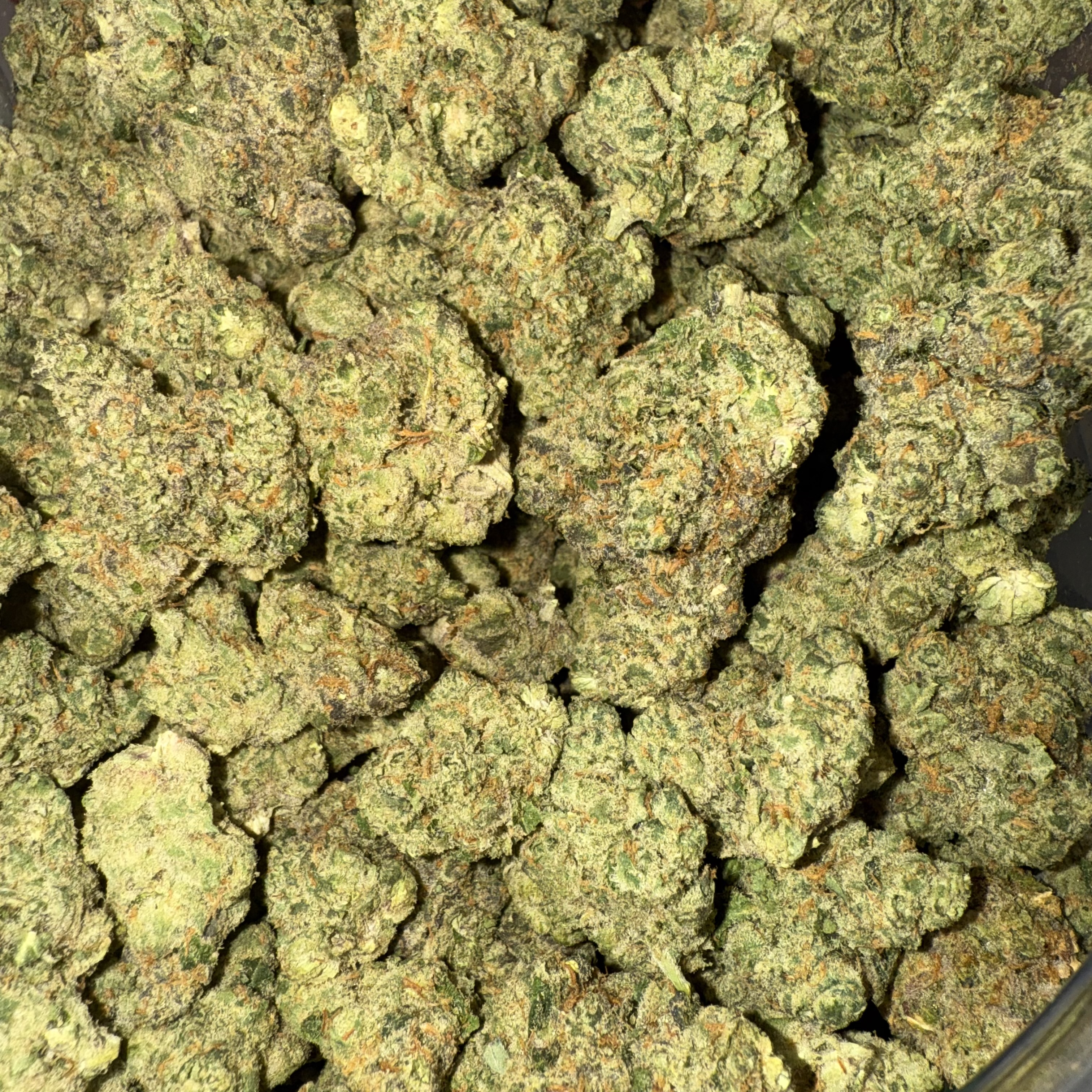 Photograph of product: GOLDKINE | Bulk Flower | Designer Runtz - 14g