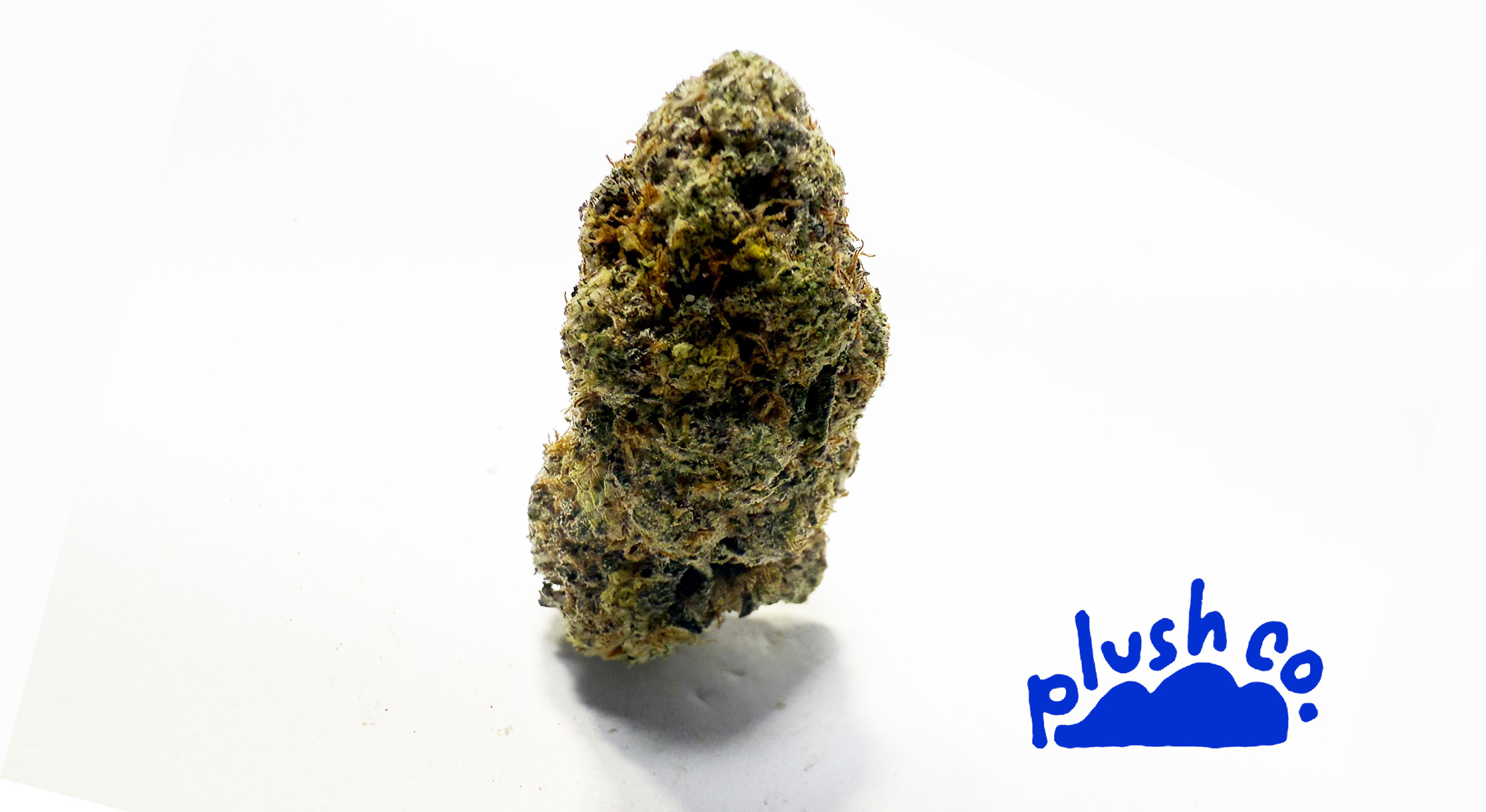 Photograph of product: PlushCo | Icee Runtz | Flower - 3.5g