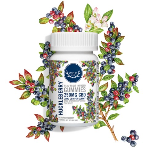 Photograph of product: Hemp Gummies | Huckleberry | 250mg