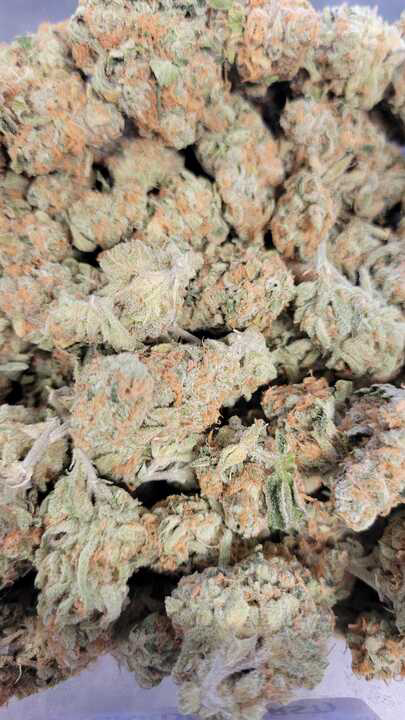 Photograph of product: Sour Strawberry (Garden First)