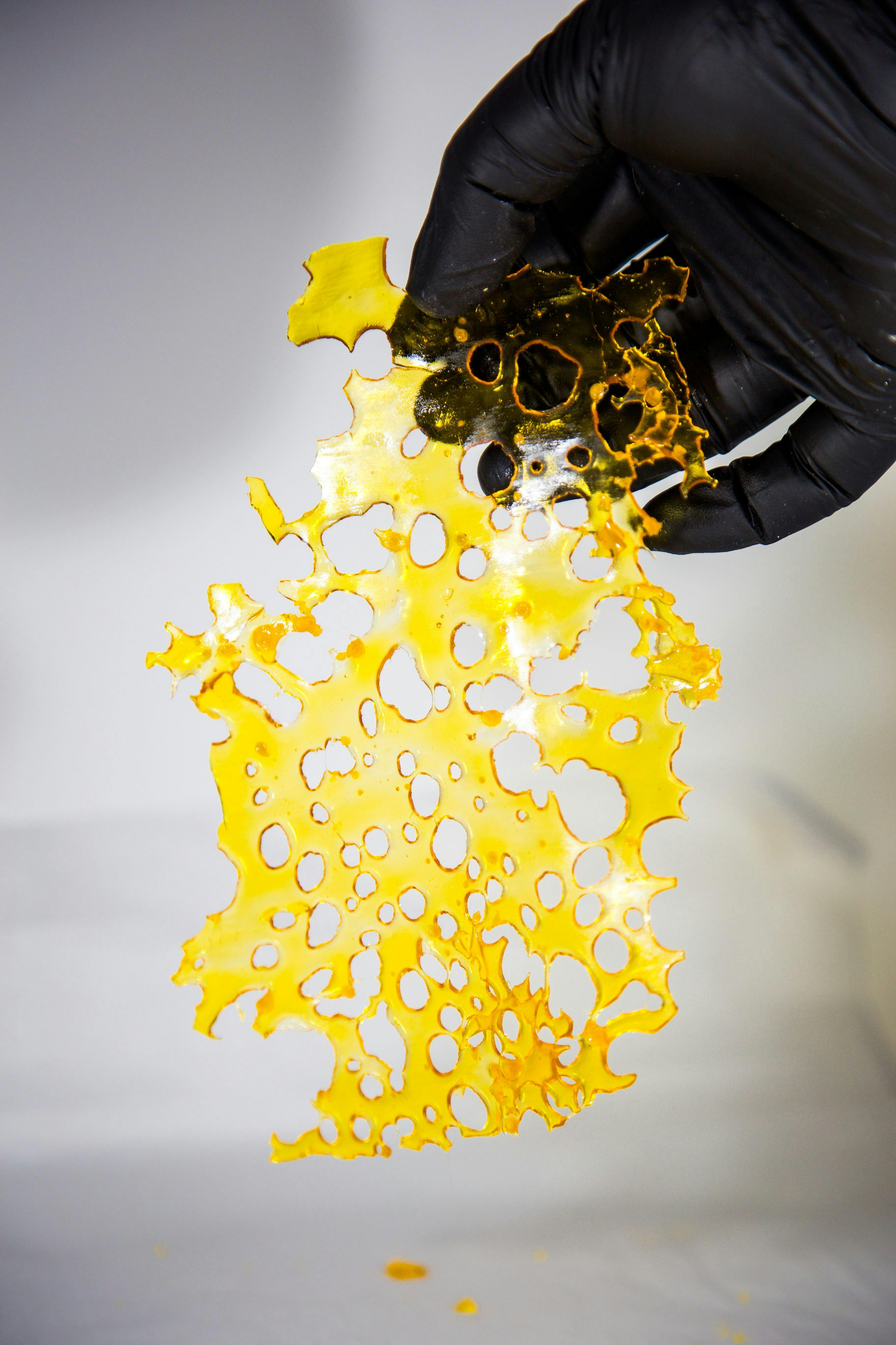 Photograph of product: SHATTER HOUSE | Cadillac Rainbow 1g Shatter