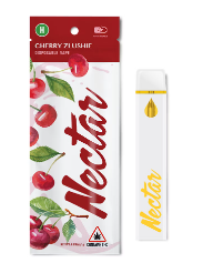 Photograph of product: Cherry Zlushie Dispo | 1g