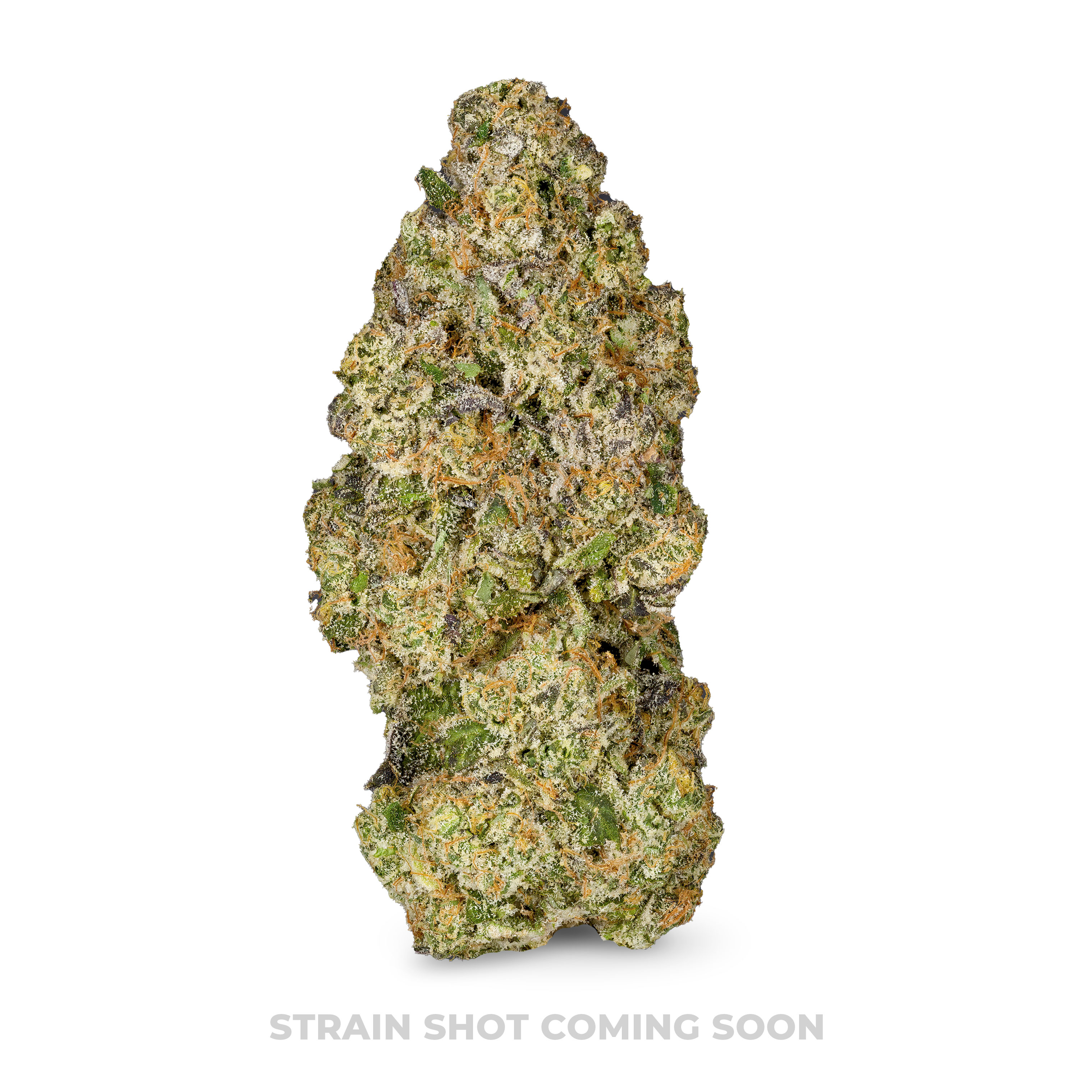 Photograph of product: Baby Yoda - 3.5g
