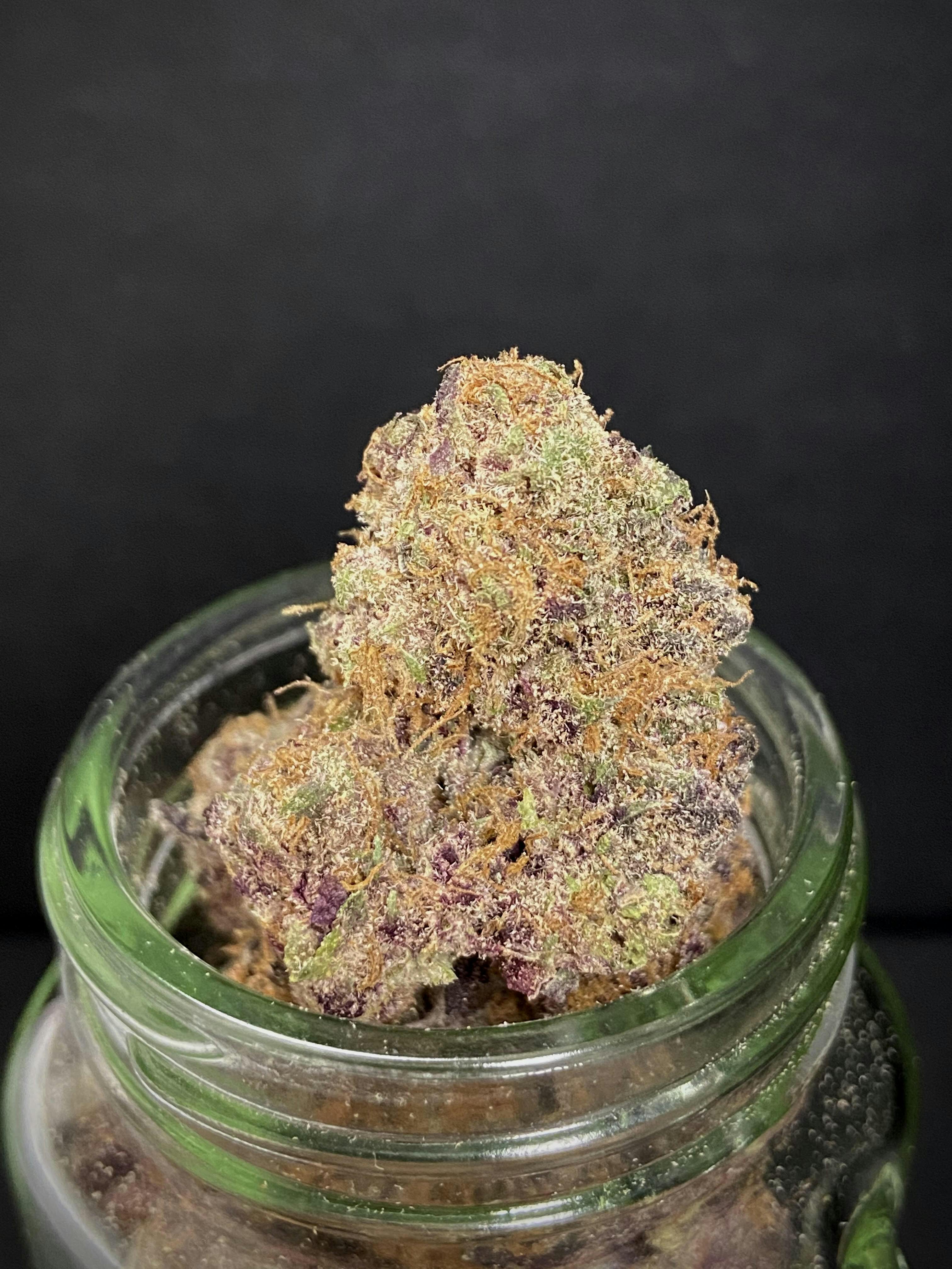 Photograph of product: Raspberry Sherbert x Raspberry Boogie (Rancho Relaxo) "SILVER SHELF"