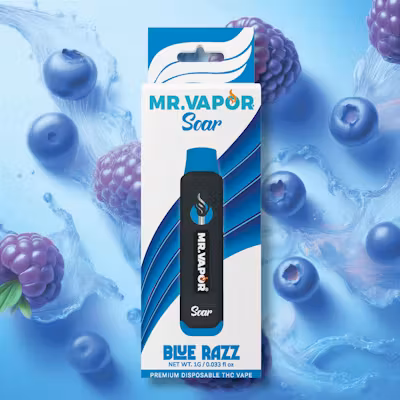 Photograph of product: Mr. Vapor - Disposable Vape - (1g) - **BLUE RAZZ** (4/$45)