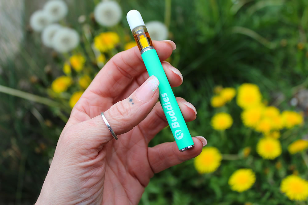 Photograph of product: Buddies- Banana Punch AllinOne