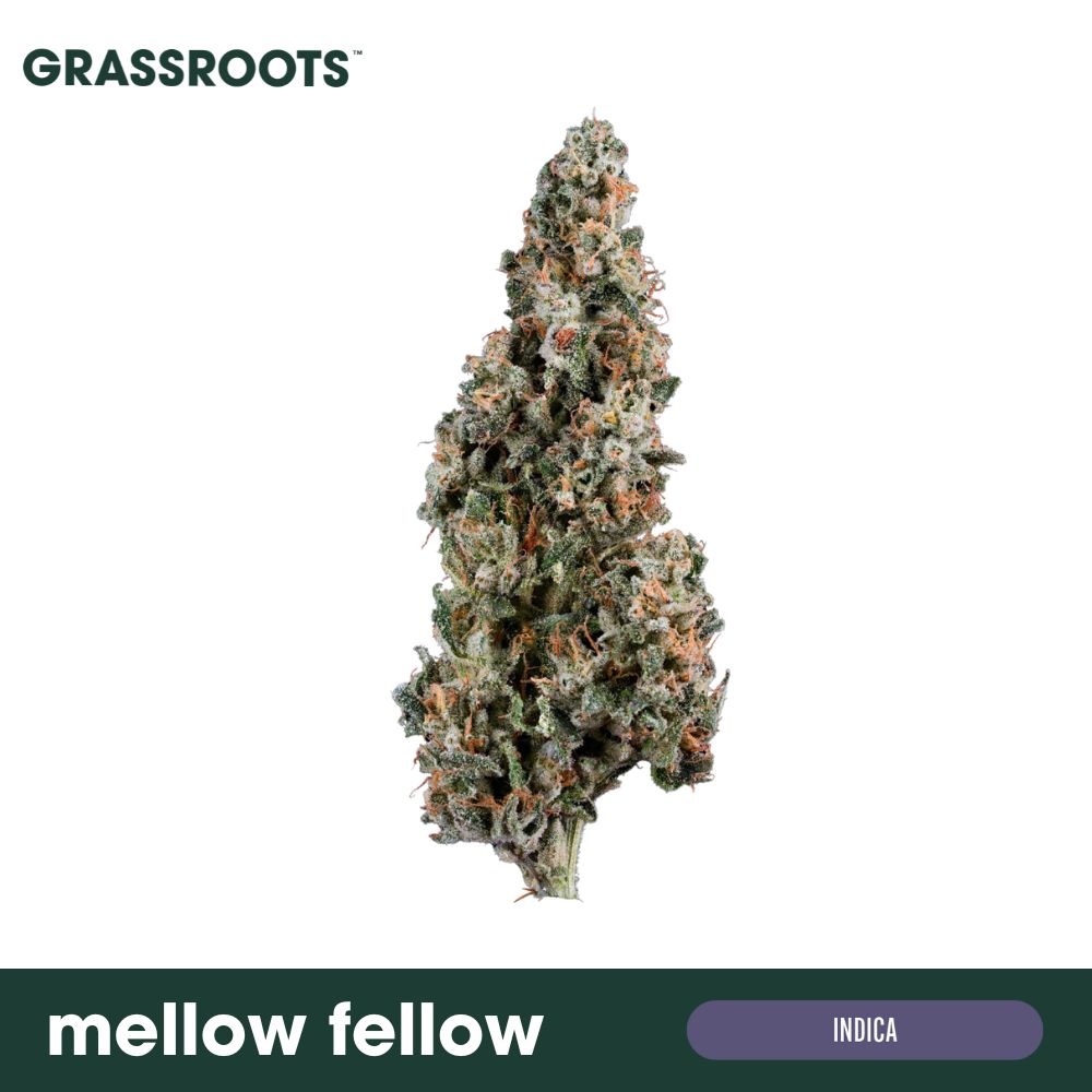 Photograph of product: Mellow Fellow Whole Flower - 14g
