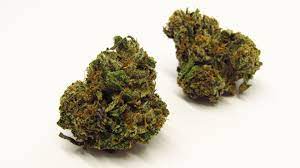 Photograph of product: Elysium | Sherb Cream Pie | Flower | Bulk/Deli - 28g