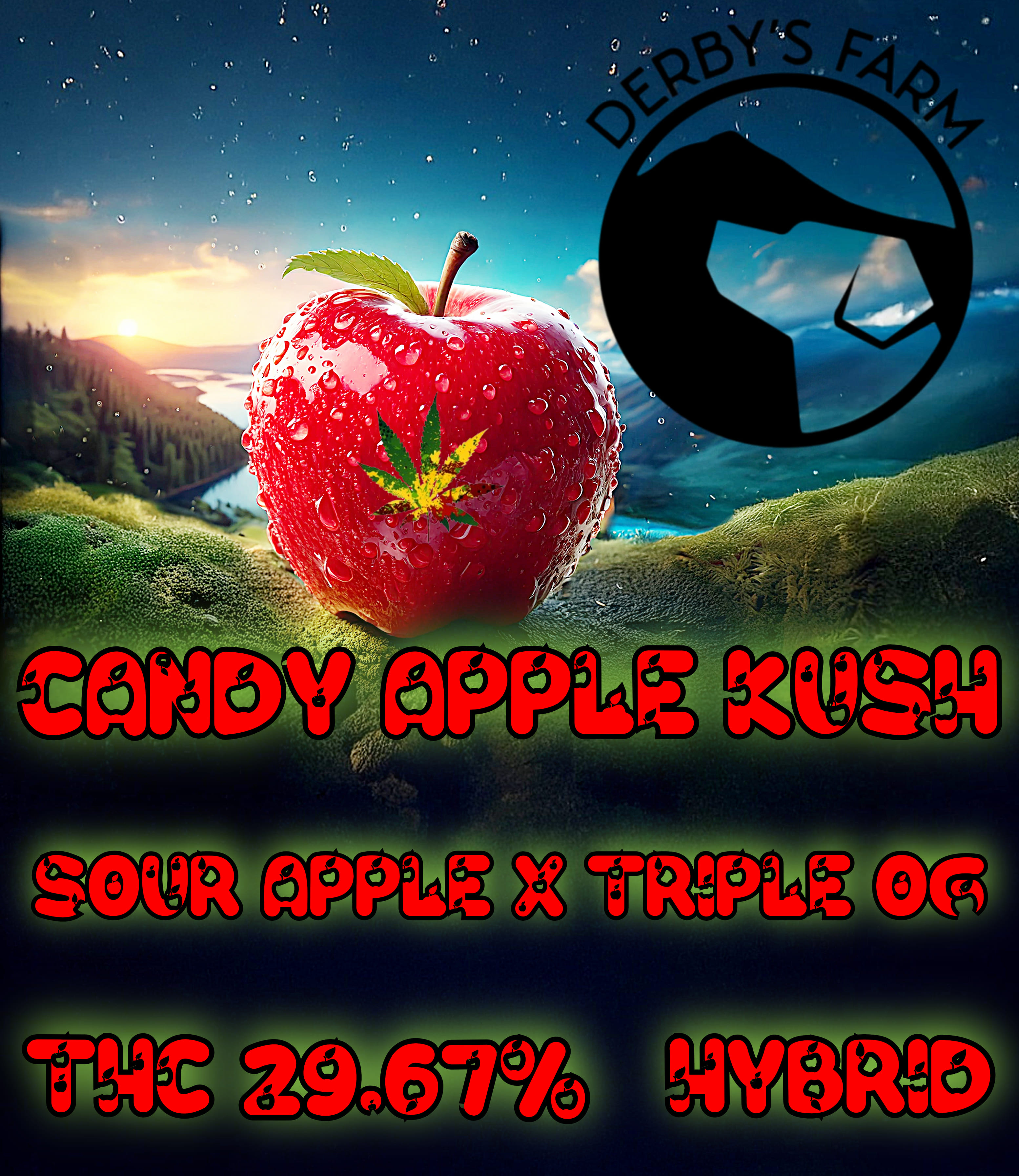 Photograph of product: Candy Apple Kush (Derby's Farms) - 28g