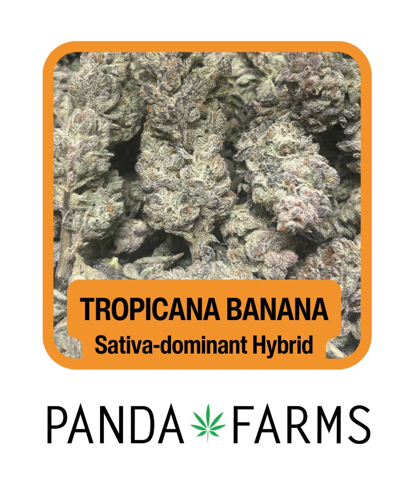 Photograph of product: Trop Nana | 3.5g