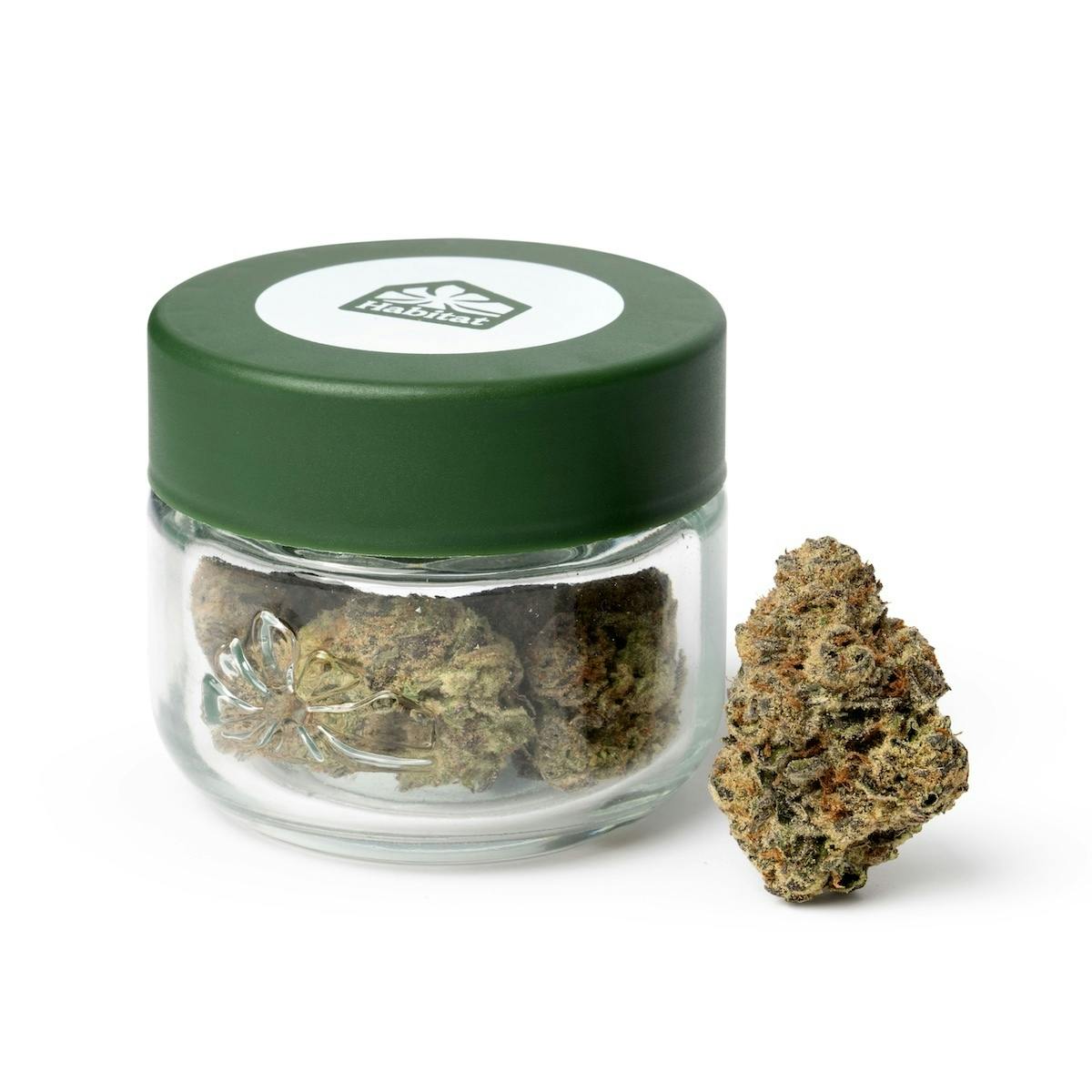 Photograph of product: Habitat - Roze - - Indoor - Oui'd - 3.5g
