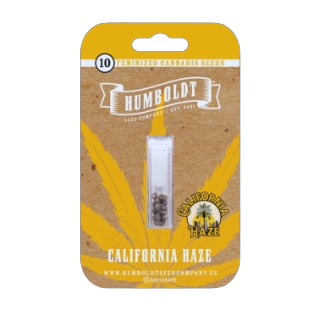 Photograph of product: HUMBOLDT SEED COMPANY - CALIFORNIA HAZE FEMINIZED SEEDS 10 PACK