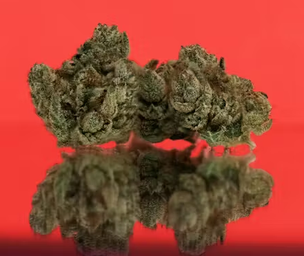 Photograph of product: District Oui'd: Gorilla Glue #4 3.5G Prepackaged Flower