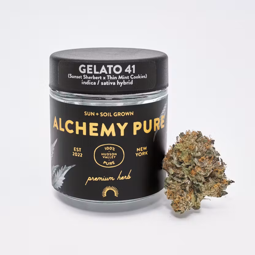 Photograph of product: Alchemy Pure | Flower Gelato 41 23.99% TH-oui I-Hybrid 3.5g