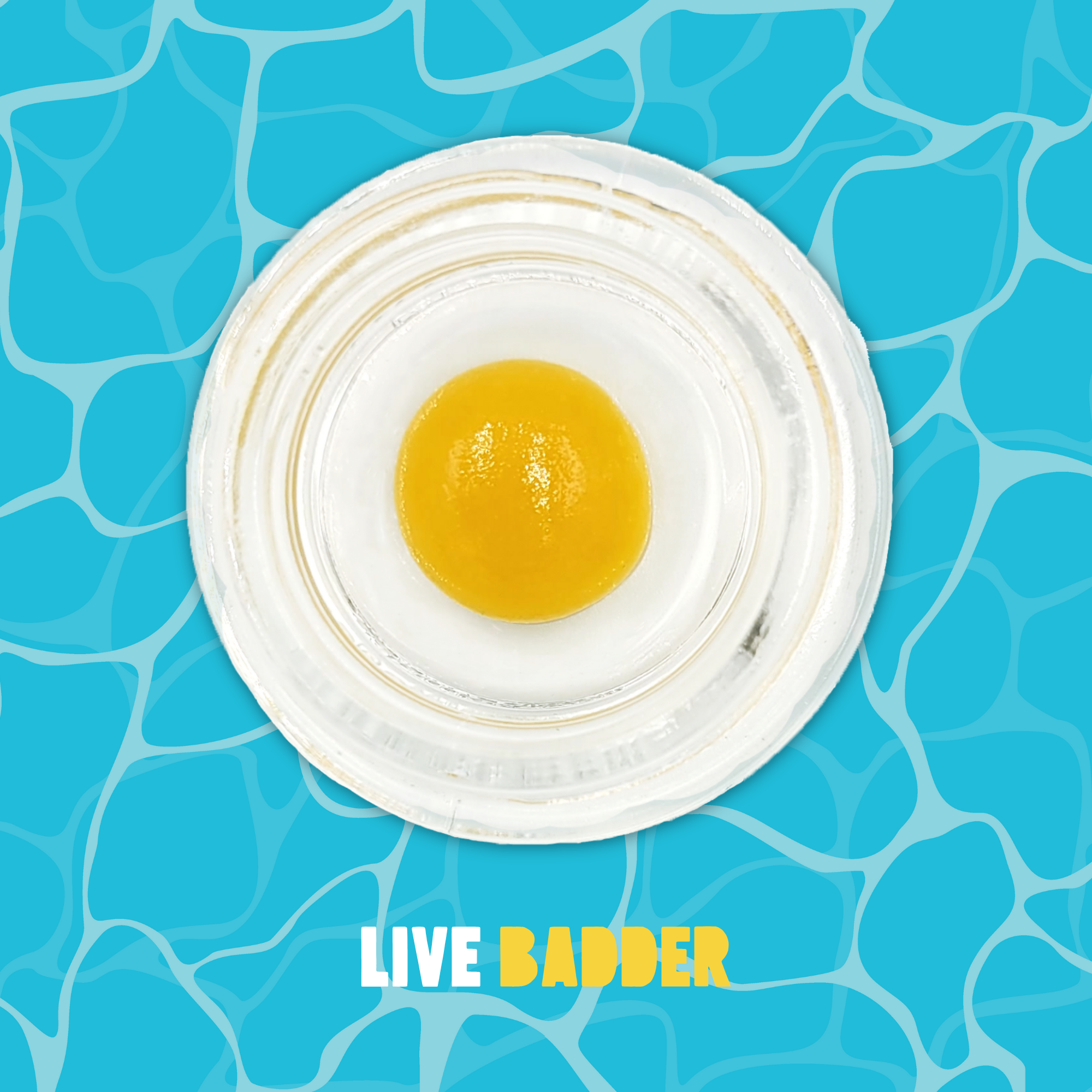 Photograph of product: Buoyant Bob - Soufle Soup - Live Badder - 1g