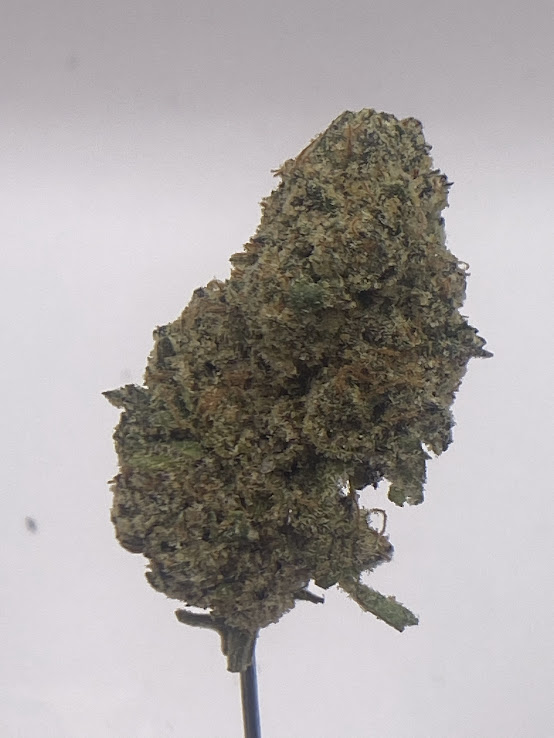 Photograph of product: Growing Up | Dark Rainbow | $90 OZ - 14g