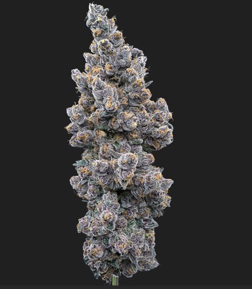 Photograph of product: Trifecta Farms | Super Boof 3.5g Flower